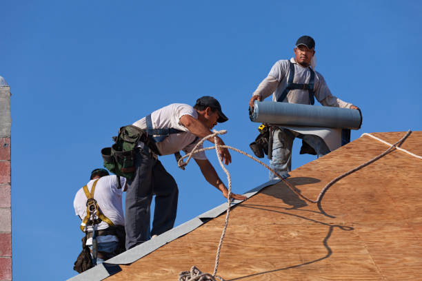 Best Shingle Roofing Installation  in New Knoxville, OH